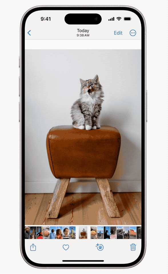 Daily Trivia - Use iPhone if You Are a Pet Owner illustration