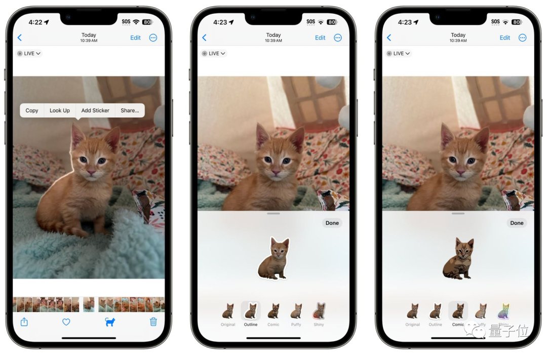 Daily Trivia - Use iPhone if You Are a Pet Owner illustration