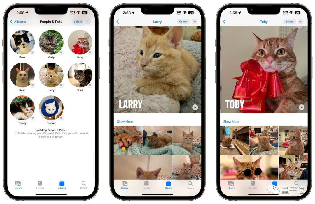 Daily Trivia - Use iPhone if You Are a Pet Owner illustration