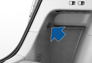 Daily Trivia for Model Y HW4: illustration