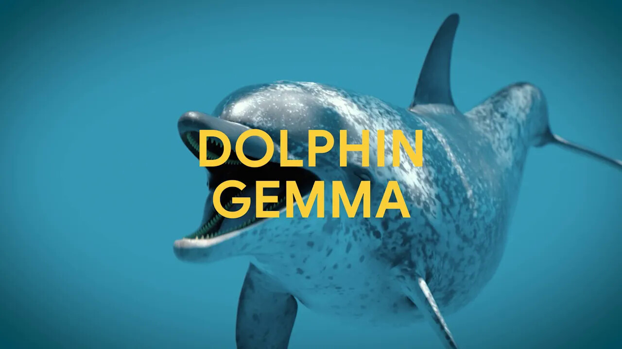Jin Daily AI Trivia : DolphinGemma：用 AI 听懂海豚说话 illustration
