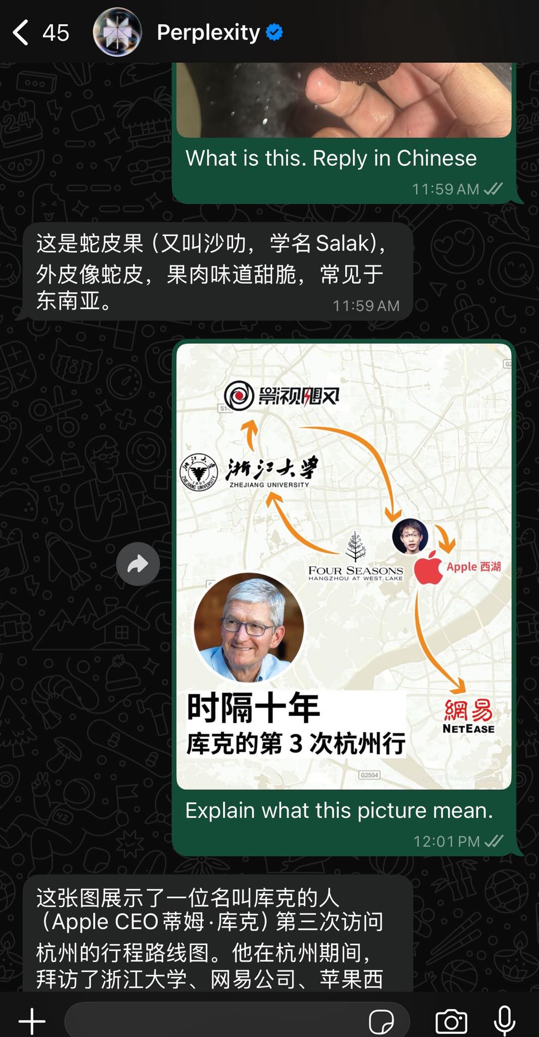 Jin’s Daily AI Trivia: Perplexity is on WhatsApp Now!! illustration